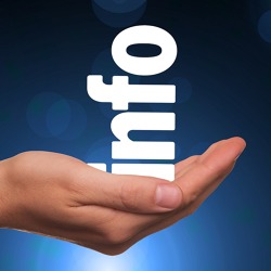 Die Zukunft der Kleingärten ist digital – warum auch euer Verein davon profitiert